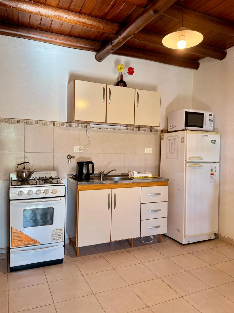 Cocina equipada con heladera, horno y microondas