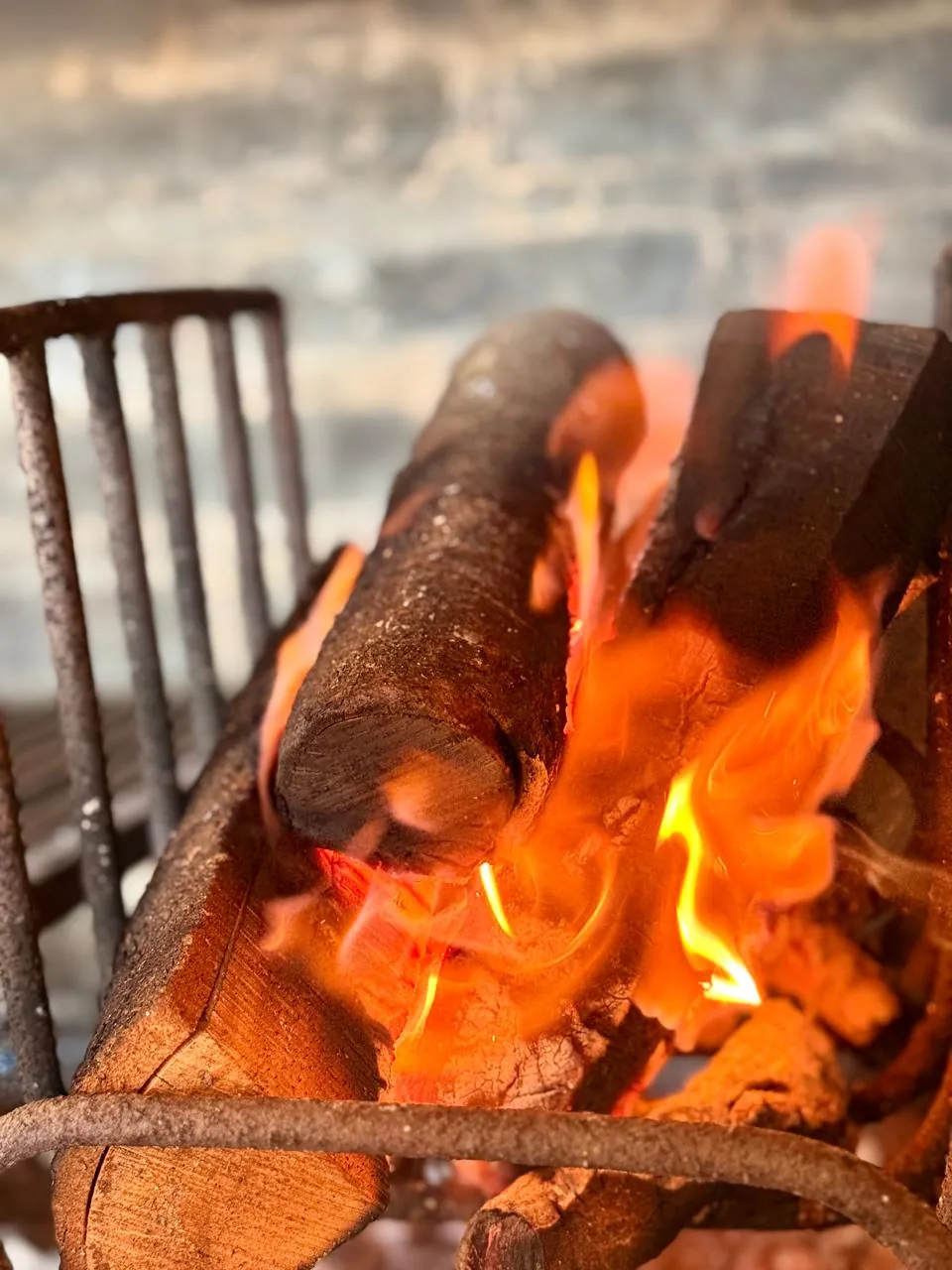 Fuego encendido en la parrilla